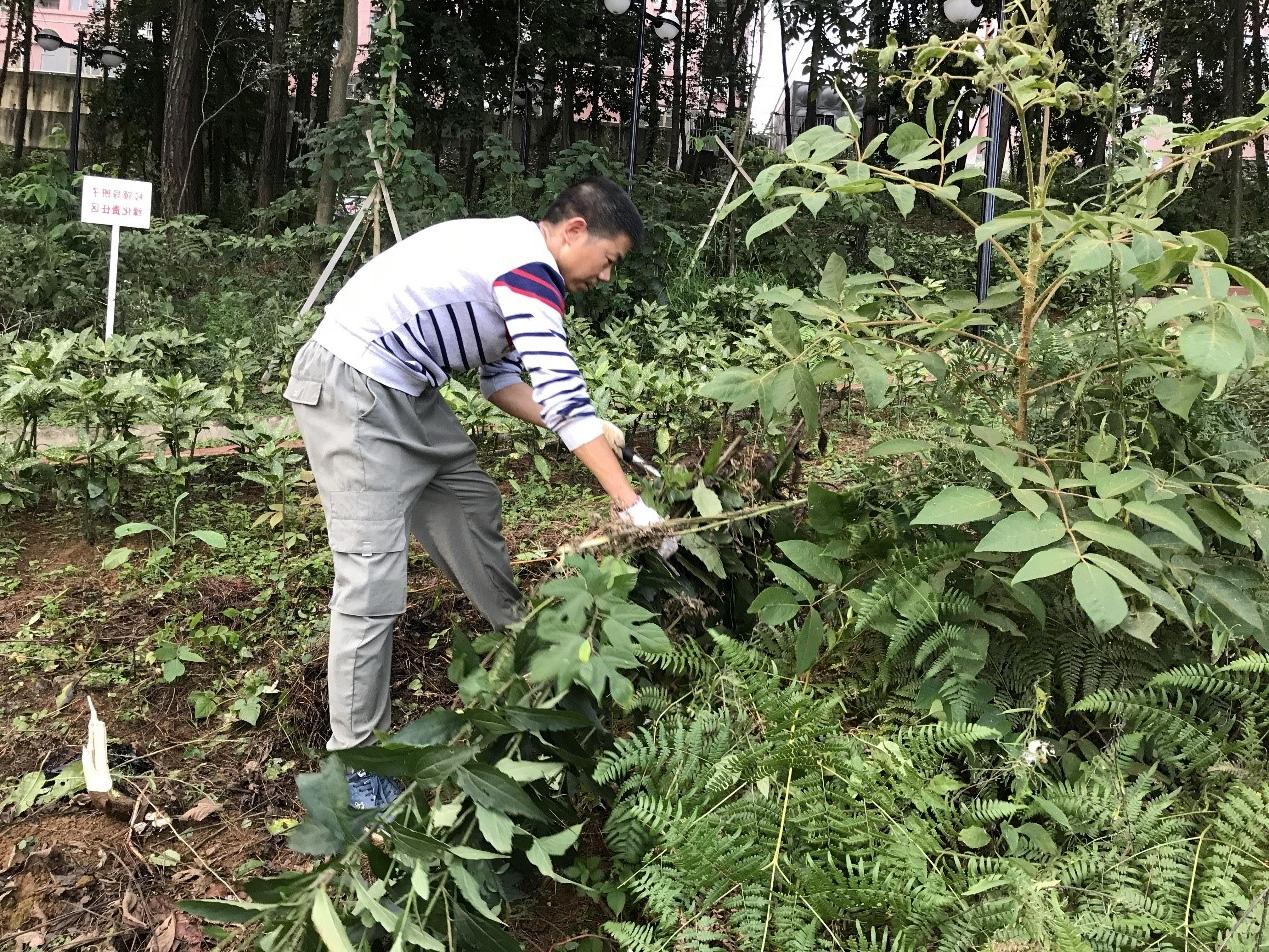 第一党支部组织召开义务劳动活动